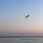 La Luna Di Carta * Ischia