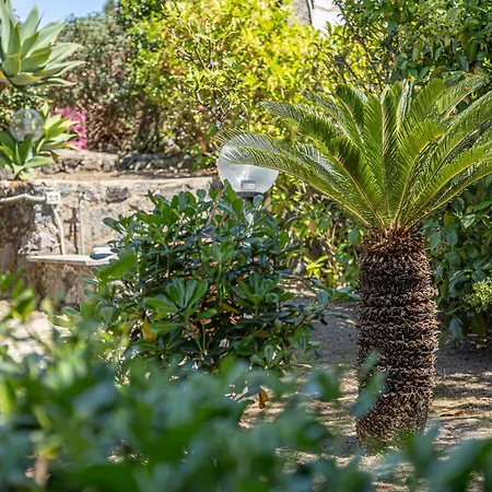 Apartment La Luna Di Carta Ischia