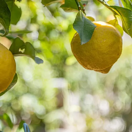 La Luna Di Carta Apartment *