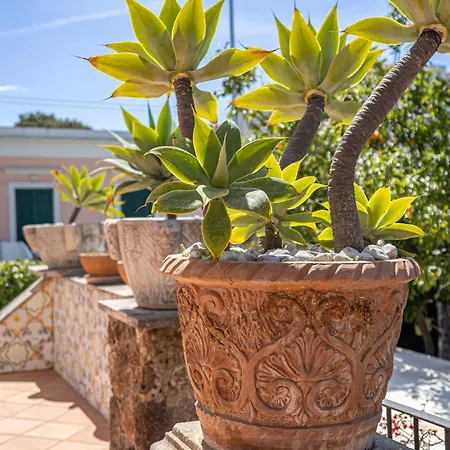 Apartment La Luna Di Carta