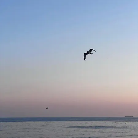 La Luna Di Carta * Ischia